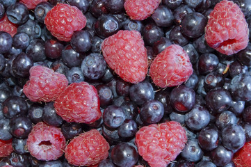 bilberries and raspberries, summer fruits