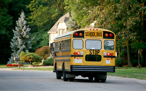 School Bus in Neighborhood