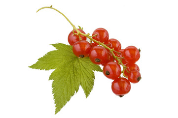 red currant isolated