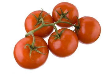 Bunch of tomatoes