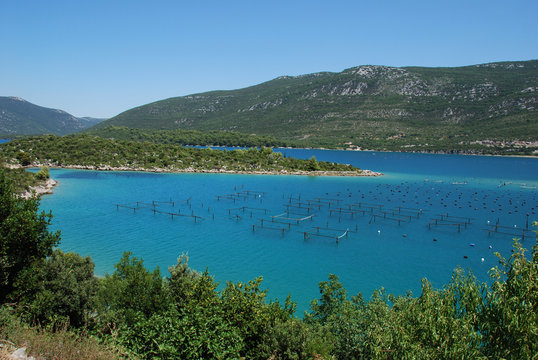 Bouchots sur la c&ocirc;te Dalmate