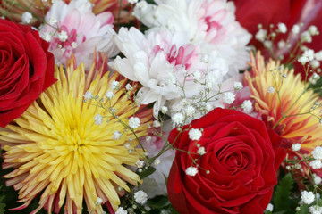 Different flowers. A flower background.