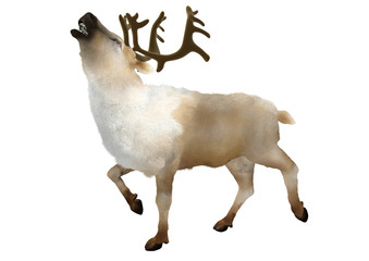 240_F_4382719_bfCTDcJyUFwelKiCptayB5UqN8nfuG6M.jpg