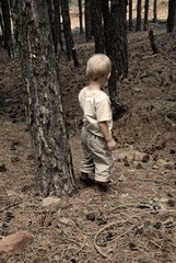 boy in the woods