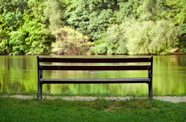 Lonely bench near the lake
