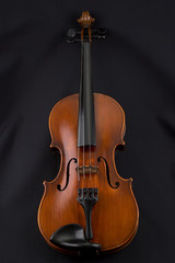 Fototapeta na wymiar Violine 1