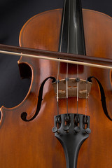 Violine 4