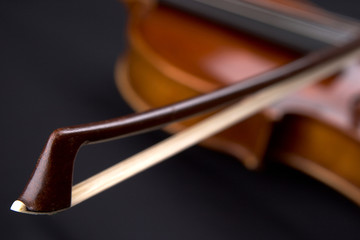 Violine 5