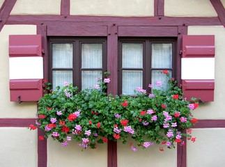 Fototapeta na wymiar romantyczny okno