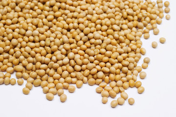 Soy bean