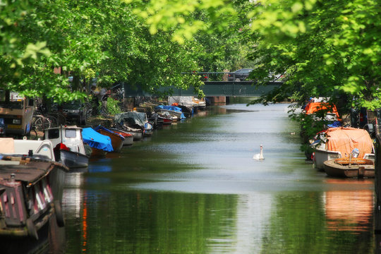Amsterdam. Canal.