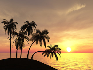 Palms over sunset
