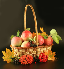 Basket with apples and maple leaves 