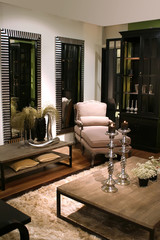 interior in classic style