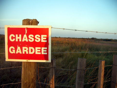 chasse