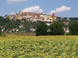 toscane