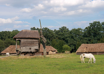 Obraz premium windmill and horses