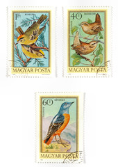 Wild birds on old stamps