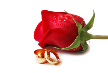 Two golden wedding rings and a red rose