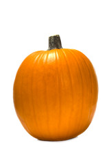 Pumpkin on white