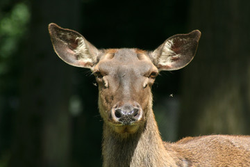 Fototapeta premium na und....?