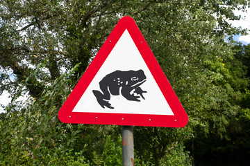 Toads crossing the road warning sign in Llandrindod Wells.