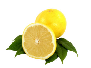 grapefruit