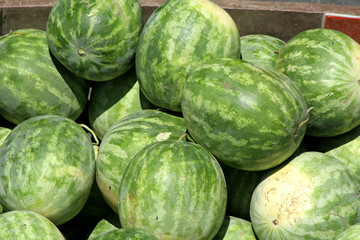 whole watermelon on display in market