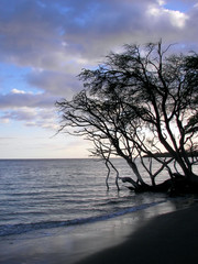 dusk on the beach - la haina, maui