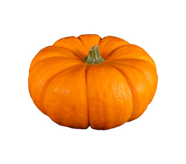 Pumpkin isolated on white
