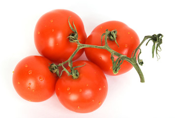 Tomatoes
