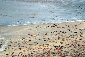 sea stones 04