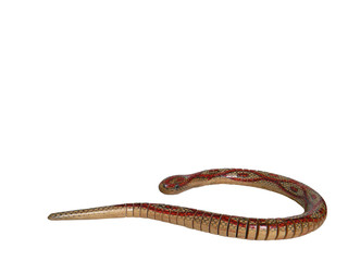 snake model