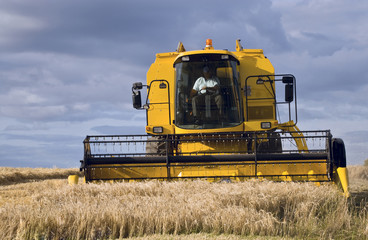 Combine Harvester