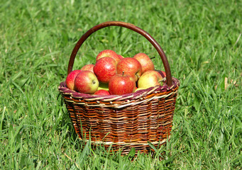 basketful of apple