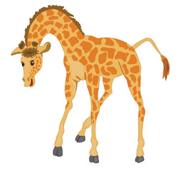 giraffe © EvgeniiasArt