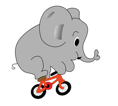 elephant on the bicycle