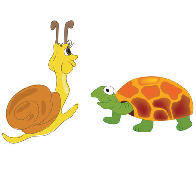 tortoise and snail