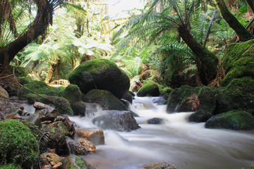 Urwald - Wasserfall - waterfall