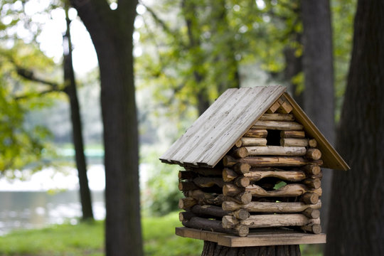 hut in the forest