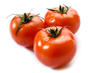 fresh tomatoes