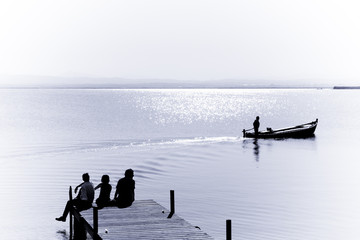 Naklejka premium Life in the lake