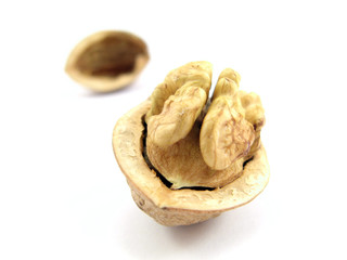 walnut