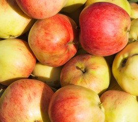 Many ripe apples