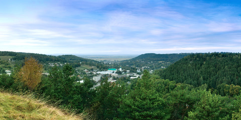 Fototapeta premium Town in wood