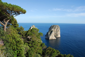 Scogliera e faraglioni, Capri