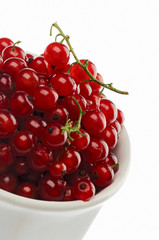 currant