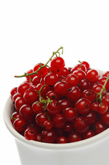 currant