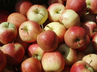 rote äpfel
