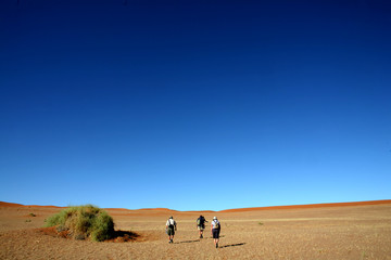 Obraz premium Africa Namibia 